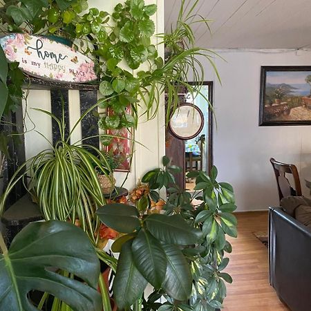 Hospedaje Familiar Glady'S House 푸에르토몬트 외부 사진