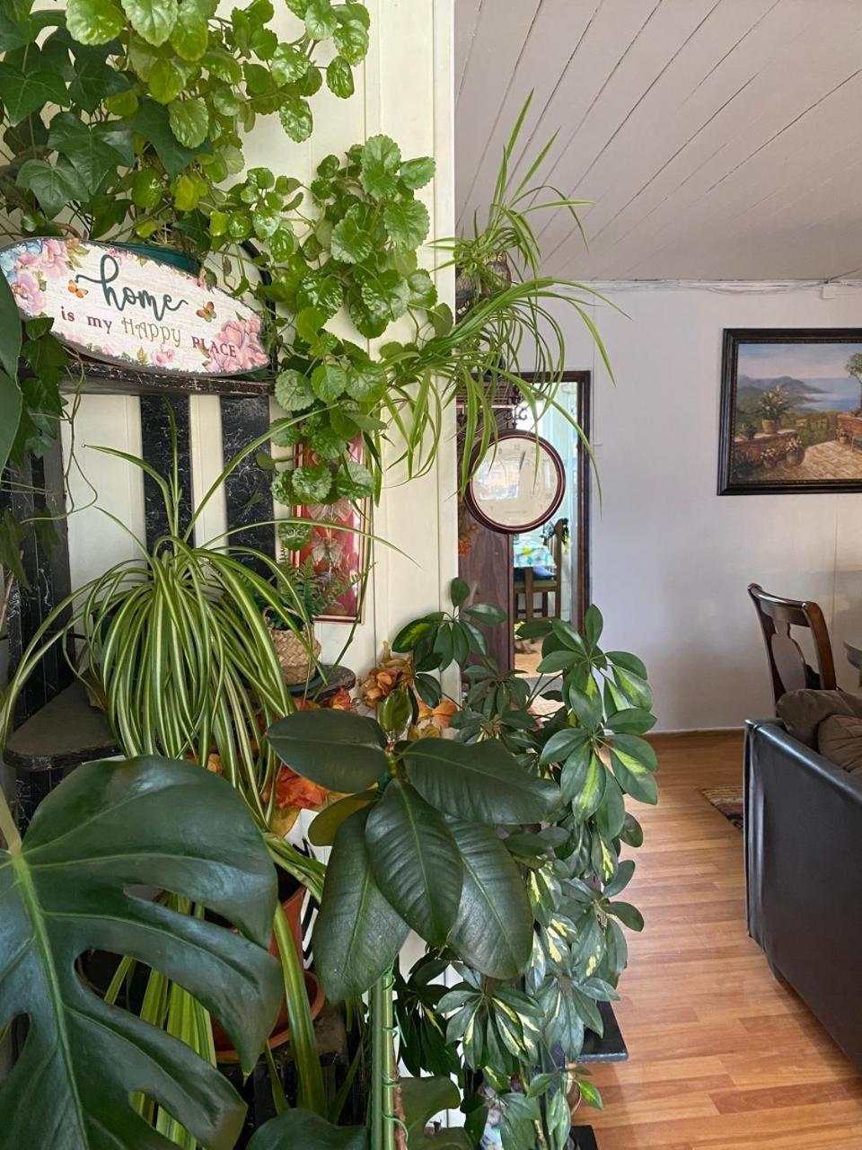 Hospedaje Familiar Glady'S House 푸에르토몬트 외부 사진